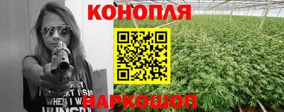 крисы Комсомольск-на-Амуре