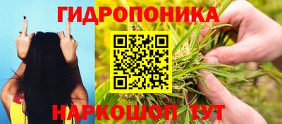 apvp Краснокаменск