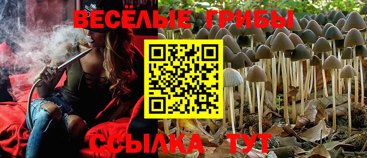 Красноуфимск  наркотики  Вход с VPN  Псилоцибиновые грибы мухоморы 